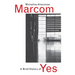 A Brief History of Yes