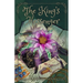 The King's Messenger: Dyslexic Font Chapter Book Written for Kids with Dyslexia