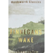 Finnegans Wake