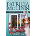 Death on Torrid Ave. (Secret Sleuth, Book 2)