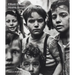 Elliott Erwitt: Home Around the World