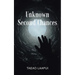 Unknown Second Chances
