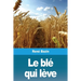Le blé qui lève