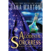 Accidental Sorceress: Epic Fantasy Romance