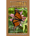 Illumen Autumn 2023