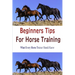 Beginners Tips for Horse Training