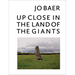 Jo Baer: Up Close in the Land of the Giants