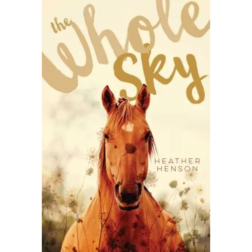 The Whole Sky