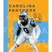 The Story of the Carolina Panthers