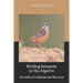 Birding hotspots in the Algarve: The hills of Caldeirão and Barrocal