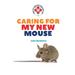 Caring for My New Mouse