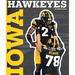 Iowa Hawkeyes