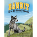 Bandit In The Bob Marshall Wilderness: A True Wilderness Adventure