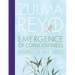 Emergence of Consciousness: Death of the Ego