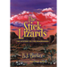 The Stick Lizards: Book 3 The Mystery of the Roadrunner
