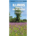 Illinois Trees & Wildflowers: A Folding Pocket Guide to Familiar Plants