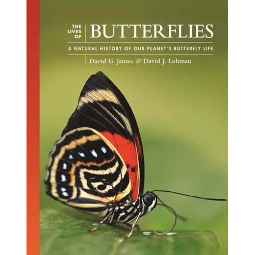 The Lives of Butterflies: A Natural History of Our Planet's Butterfly Life