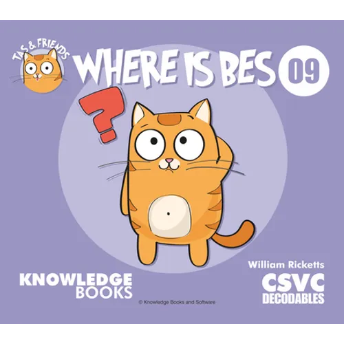 Where Is Bes?: Book 9