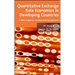 Quantitative Exchange Rate Economics in Developing Countries: A New Pragmatic Decision Making Approach
