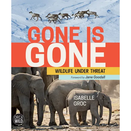 Gone Is Gone: Wildlife Under Threat