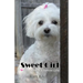 Sweet Girl: Heartbeats of a Special Life