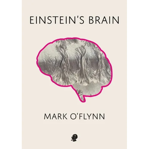 Einstein's Brain
