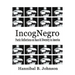 IncogNegro: Poetic Reflections of Race & Diversity in America