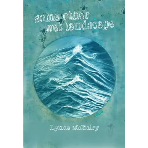 some other wet landscape - Paperback