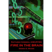 Ruptured Cerebral Aneurysm: Fire in the Brain