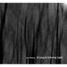 A Long & Echoing Light