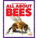 All about Bees