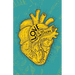 Love is an Emotion: The Bible Tells Me So?