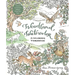 Woodland Watercolor: A Coloring Workbook