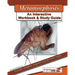 The Metamorphosis.: An Interactive Workbook and Study Guide