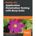 Hands-On Application Penetration Testing with Burp Suite