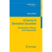 A Course in Derivative Securities: Introduction to Theory and Computation