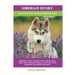 Siberian Husky: Siberian Husky General Info, Purchasing, Care, Cost, Keeping, Health, Supplies, Food, Breeding and More Included! The