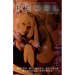 Pearl Volume 2