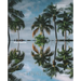 Palm Tree Destinations