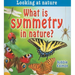 What Is Symmetry in Nature?