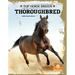 Thoroughbred