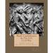 Black Confederates In The U.S. Civil War: A Compiled List of African - Americans Who Served The Confederacy