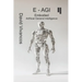 E-AGI Embodied Artificial General Intelligence: The Artificiology Journey.