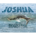 Joshua and the Biggest Fish