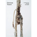 Clarissa Tossin: To Take Root Among the Stars