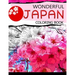 Wonderful Japan Coloring Book: A cities coloring book for adults