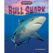 Bull Shark