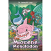 The Miocene Megalodon