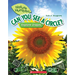 Can You See a Circle?: Explore Shapes (Nature Numbers)