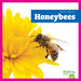 Honeybees